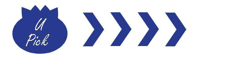 This way to Delicious Berries!